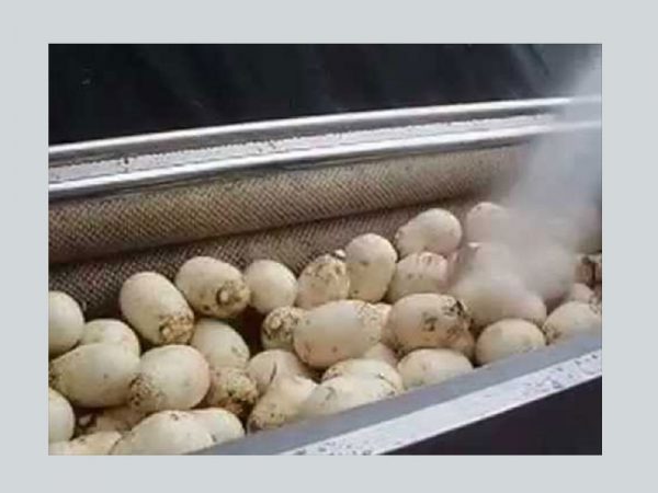 Máy gọt rửa khoai tây