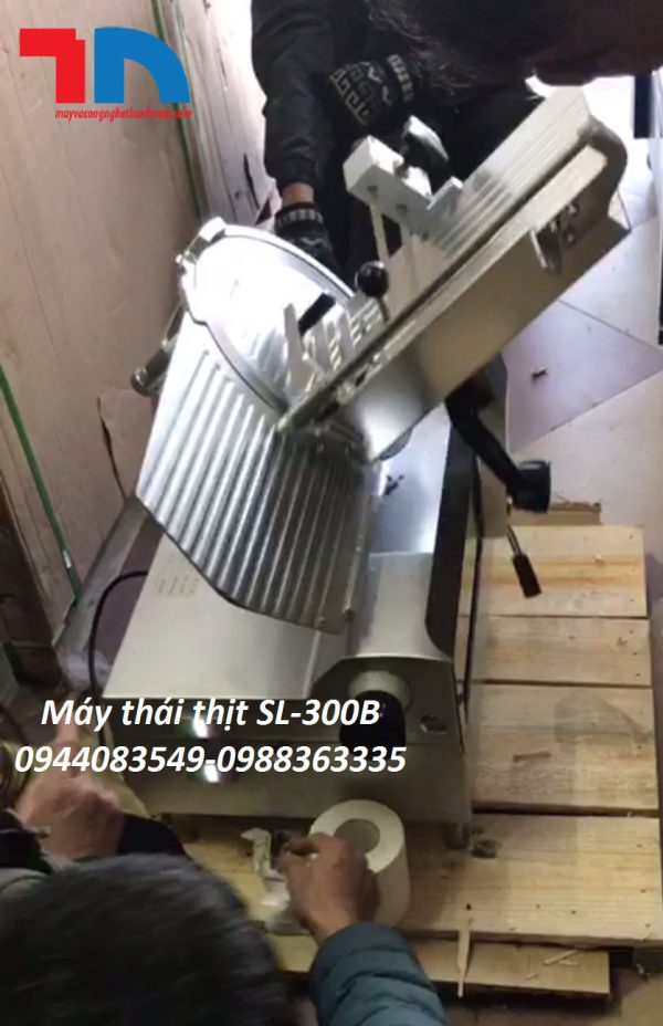 Máy thái thịt đông lạnh SL300B